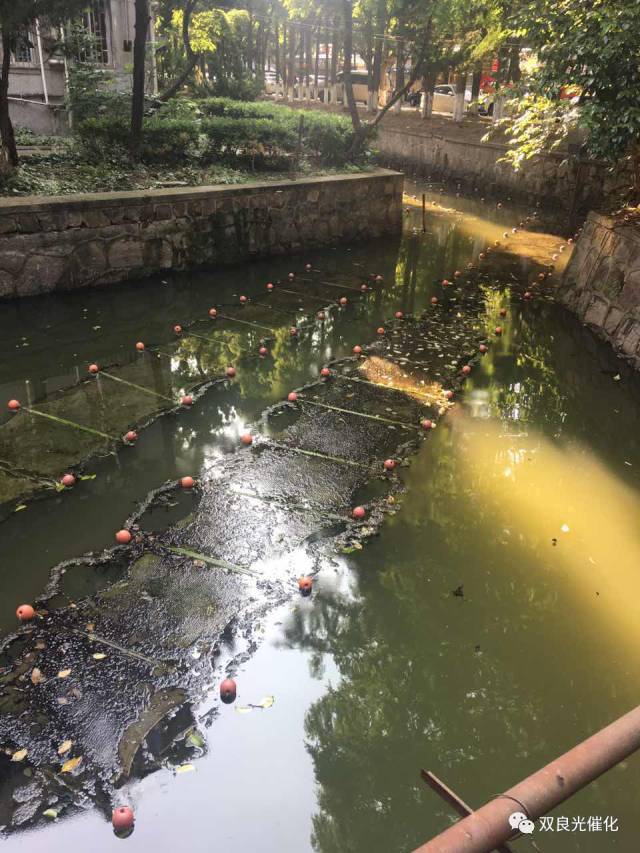 贛州建春濕地公園分布式生態(tài)地埋式再生水處理工程的啟示