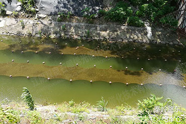 硬質(zhì)岸坡河道消除黑臭-江蘇省常州市長溝河