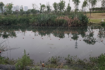 自然河道消除黑臭-安徽省銅陵市秀水河翠湖二路段