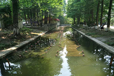 硬質(zhì)岸坡河道消除黑臭-江蘇省南通市城南中心河