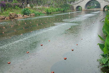 景觀水體消除黑臭-廣東省東莞厚街鳳山公園內(nèi)河涌