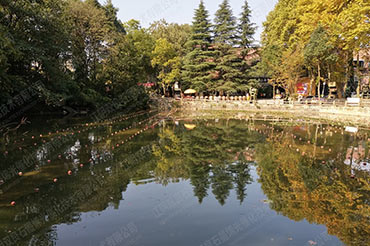 景觀水體水質(zhì)提升-貴州省貴陽市花溪板橋藝術(shù)村#水塘