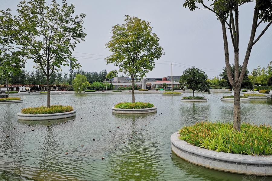 景觀水體水質(zhì)提升-陜西省西安市灃濱水鎮(zhèn)生態(tài)景區(qū)公園湖