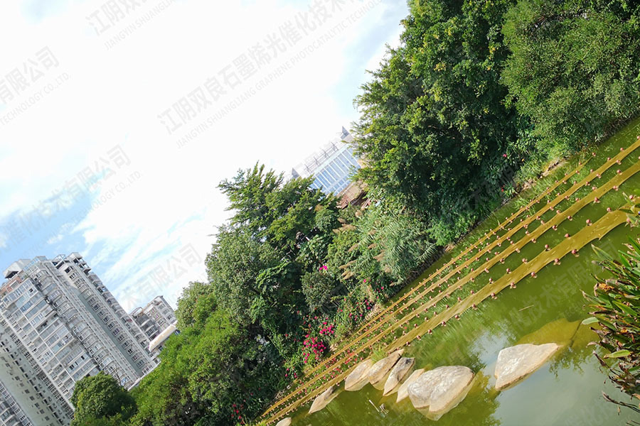 景觀水體水質(zhì)提升-福建省龍巖市石鑼鼓濕地公園