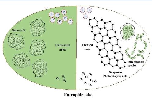 云南大學(xué)張虎才研究團(tuán)隊(duì)發(fā)表石墨烯光催化技術(shù)對高污染富營養(yǎng)化湖泊水質(zhì)提升實(shí)驗(yàn)研究成果