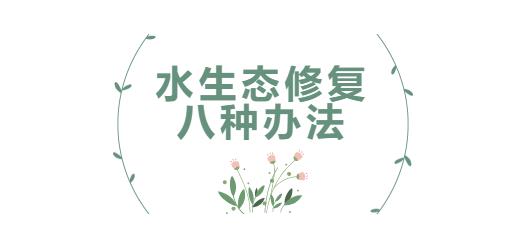 科普小課堂第31期 | 水生態(tài)修復(fù)的八種辦法