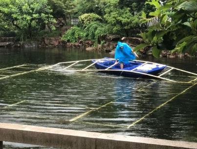 四團鎮(zhèn)河道治理有“法寶”