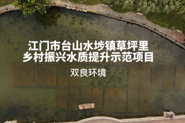 中建環(huán)能在天府國(guó)際機(jī)場(chǎng)景觀水體治理的實(shí)踐