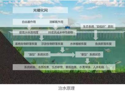 黑臭水體治理見成效 宿城河道景觀換新顏