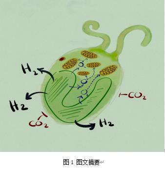  雙良環(huán)境最新科研動(dòng)態(tài)(2022-09)