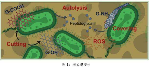 雙良環(huán)境最新科研動(dòng)態(tài)(2022-10)