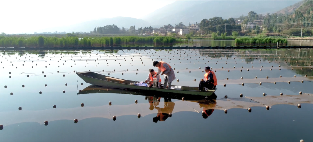 巡河并調(diào)研病險(xiǎn)水庫、農(nóng)村污水治理工程