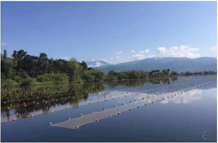 湖北“黑科技”將湖泊水庫污水就地變清流，雙良值得推廣