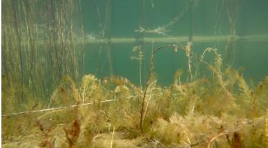 “為全球生物多樣性治理指明了方向”——訪《生物多樣性公約》第十五次締約方大會主席、中國生態(tài)環(huán)境部部長黃潤秋（人民日報(bào)）