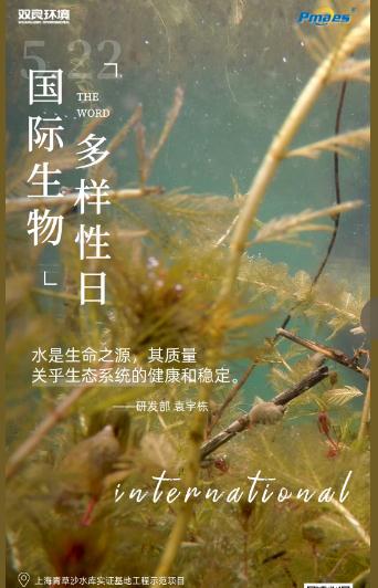 5.22生物多樣性日｜共護(hù)碧水清波，共建和諧生態(tài)！