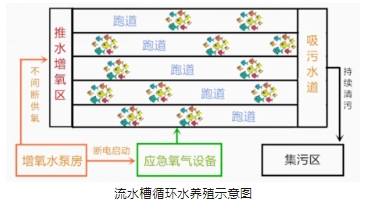 科普小課堂第61期丨池塘和工廠化集約化設(shè)施漁業(yè)養(yǎng)殖場(chǎng)