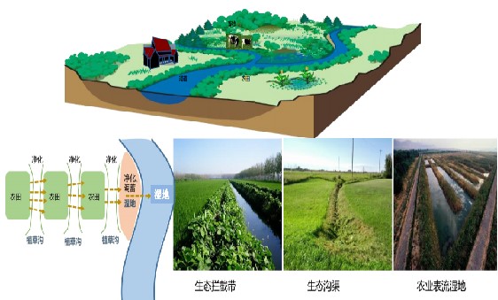 湖泊綜合治理設(shè)計項目